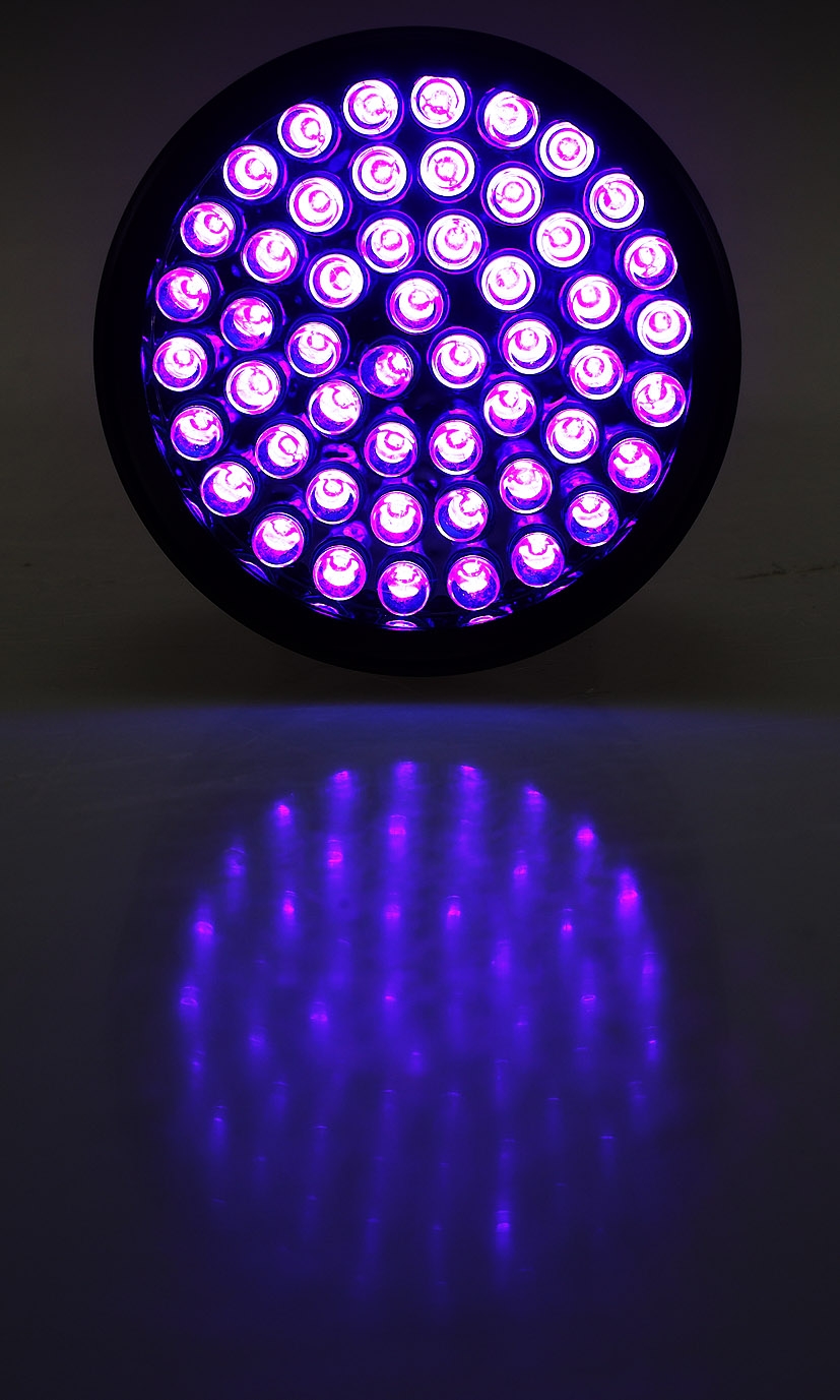 51 LEDs Taschenlampe UV 395-410nm Schwarzlicht Handlampe Blitzlicht DHL Versa SC 